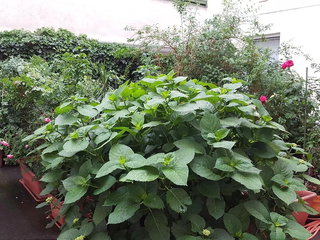 Apartment Hernals Vienne